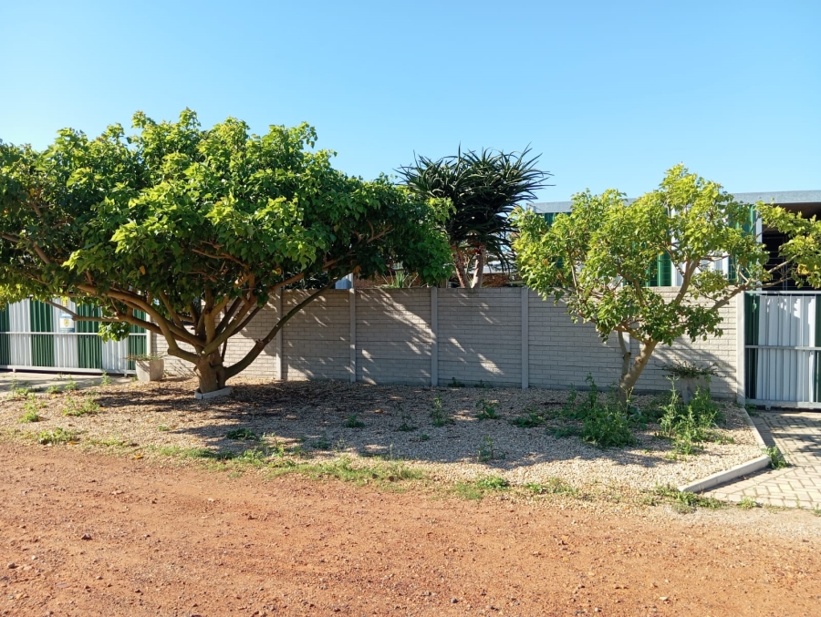 To Let 3 Bedroom Property for Rent in Cannonville Eastern Cape